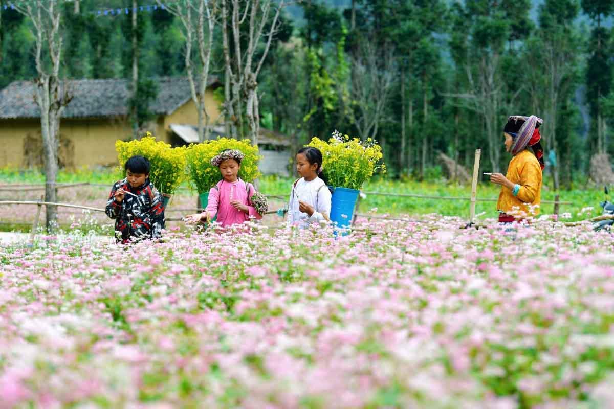 Hà Nội - Hà Giang - Lũng Cú - Đồng Văn - Mèo Vạc